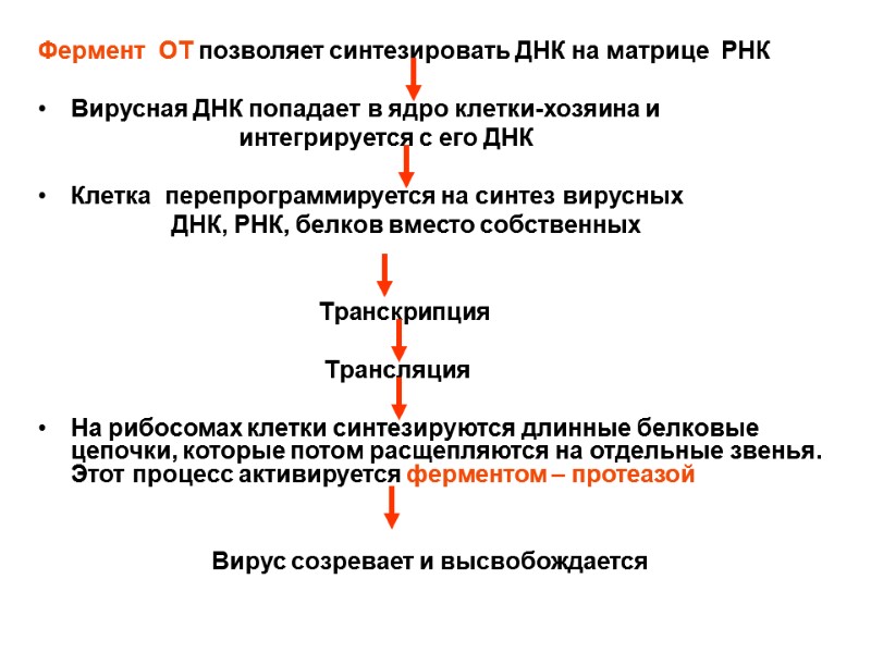 Фермент  ОТ позволяет синтезировать ДНК на матрице  РНК  Вирусная ДНК попадает